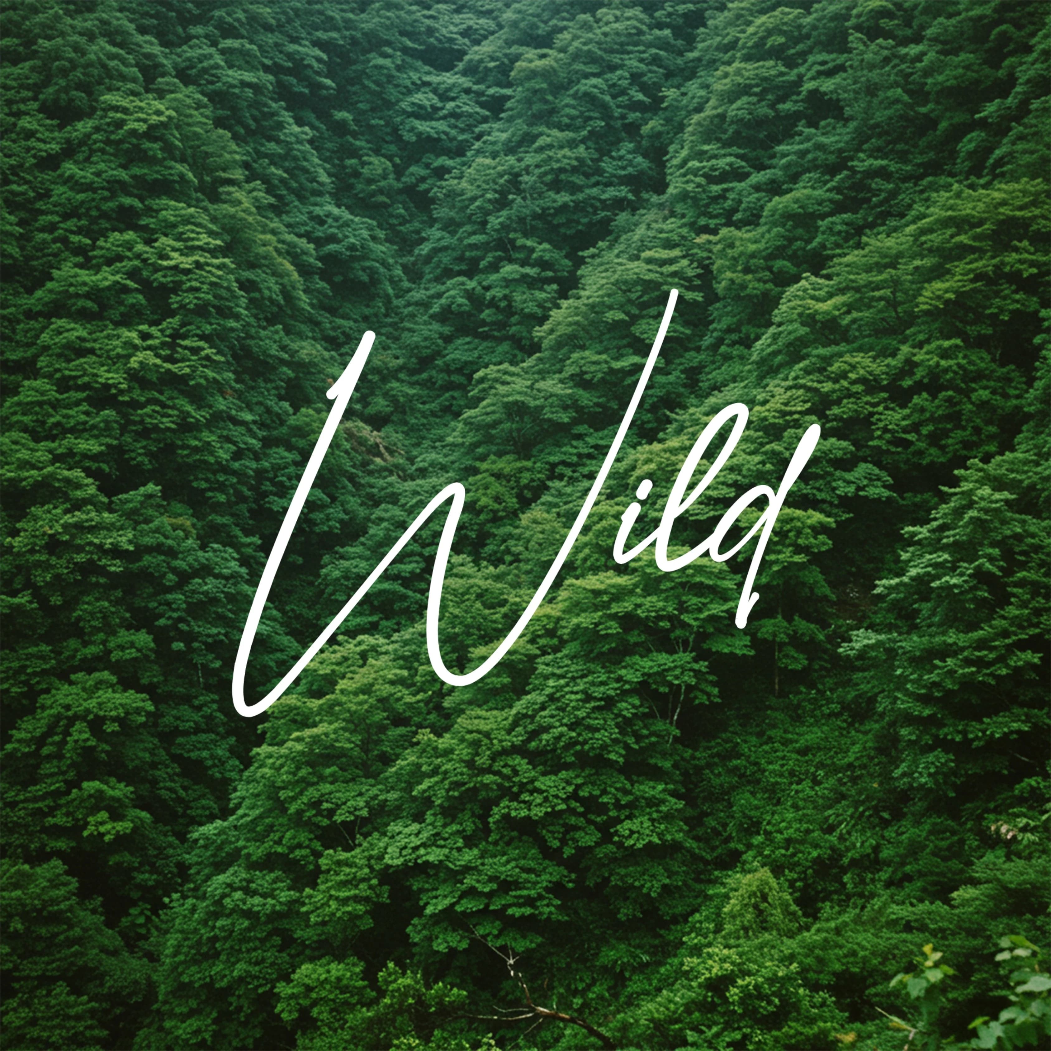 هدية مجموعة وايلد كولت